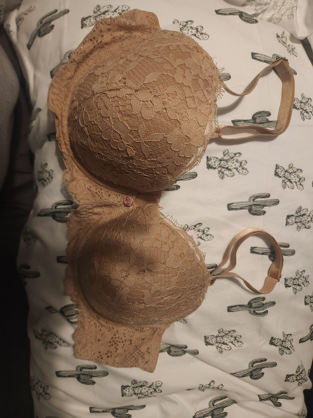 Victoria's Secret Lace Push-Up Bra in Nude Tan
